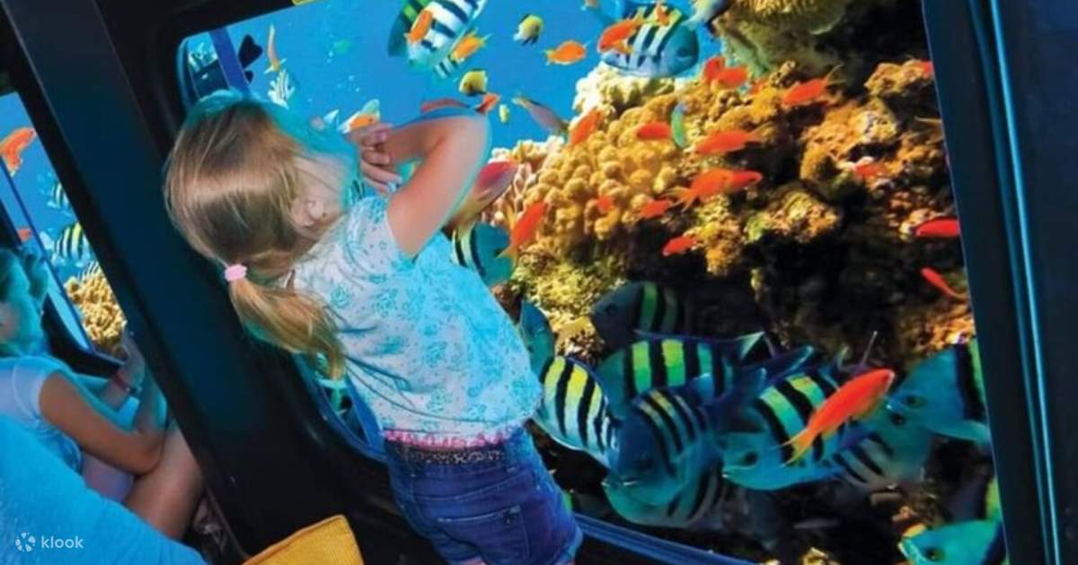 Sharm el-Sheikh: Semi-submarine trip along the coast - Klook